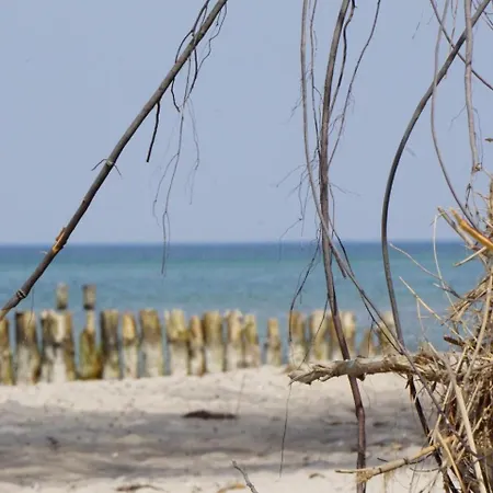 Apartmán Sommersprosse Börgerende-Rethwisch