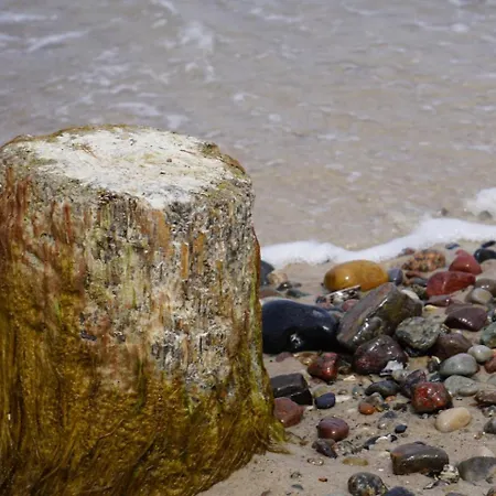 Sommersprosse * Börgerende-Rethwisch