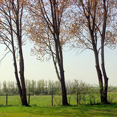 Apartmán Sommersprosse *